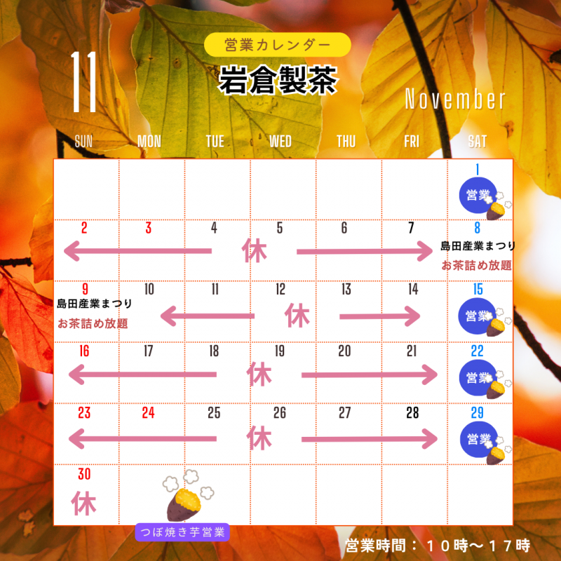 11���c�ƈē�